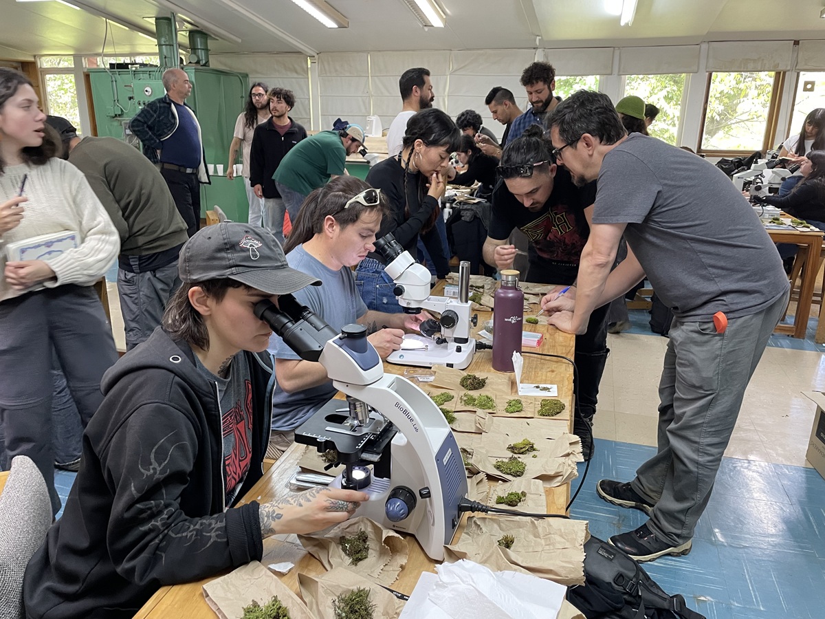Curso de briófitas atrajo a profesionales y estudiantes interesados en este valioso ecosistema