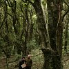 img_8278