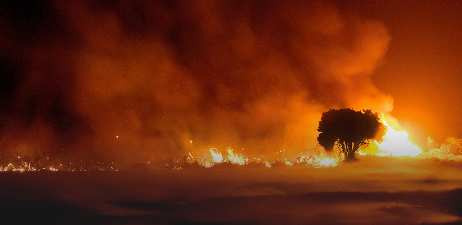 El cambio en el régimen de incendios en Chile