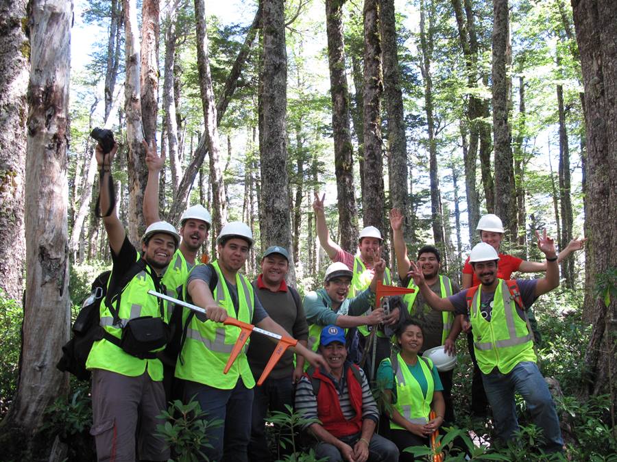 Celebrarán Día del Ingeniero Forestal