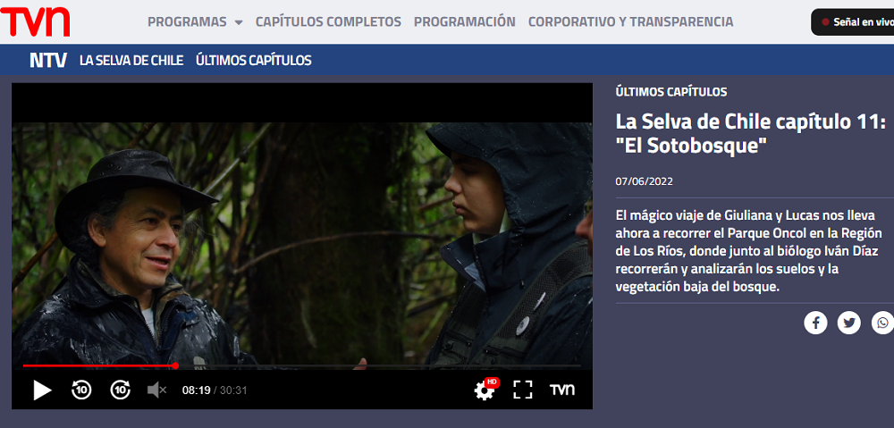 La Selva de Chile capítulo 11: 
