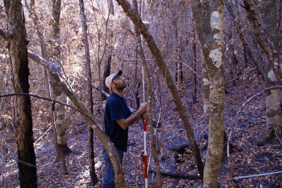 Facultad de Ciencias Forestales y Recursos Naturales participó en el GIS Day 2025
