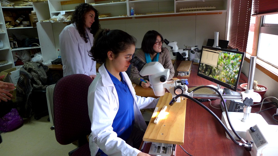 Estudiantes conocen qué nos dicen  los árboles sobre el pasado