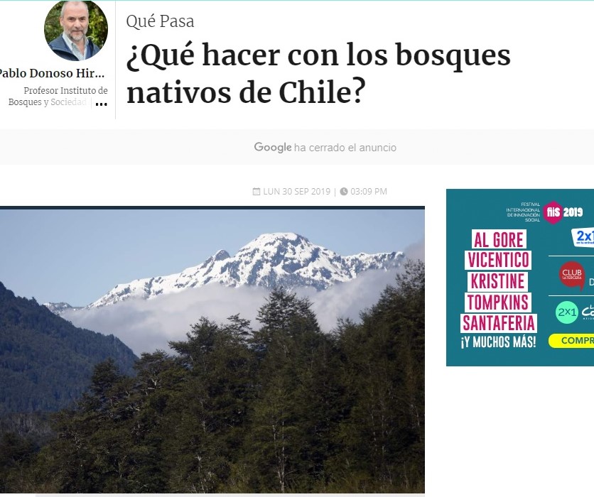 Columna: ¿Qué hacer con los bosques nativos de Chile?