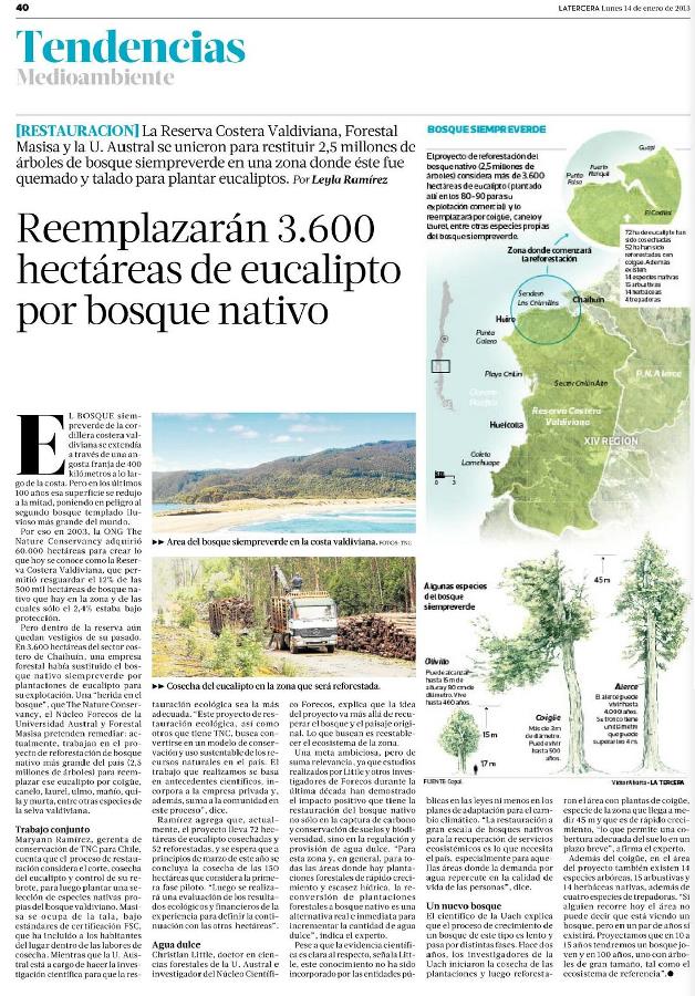 Reemplazarán 3600 hectáreas de eucalipto por bosque nativo