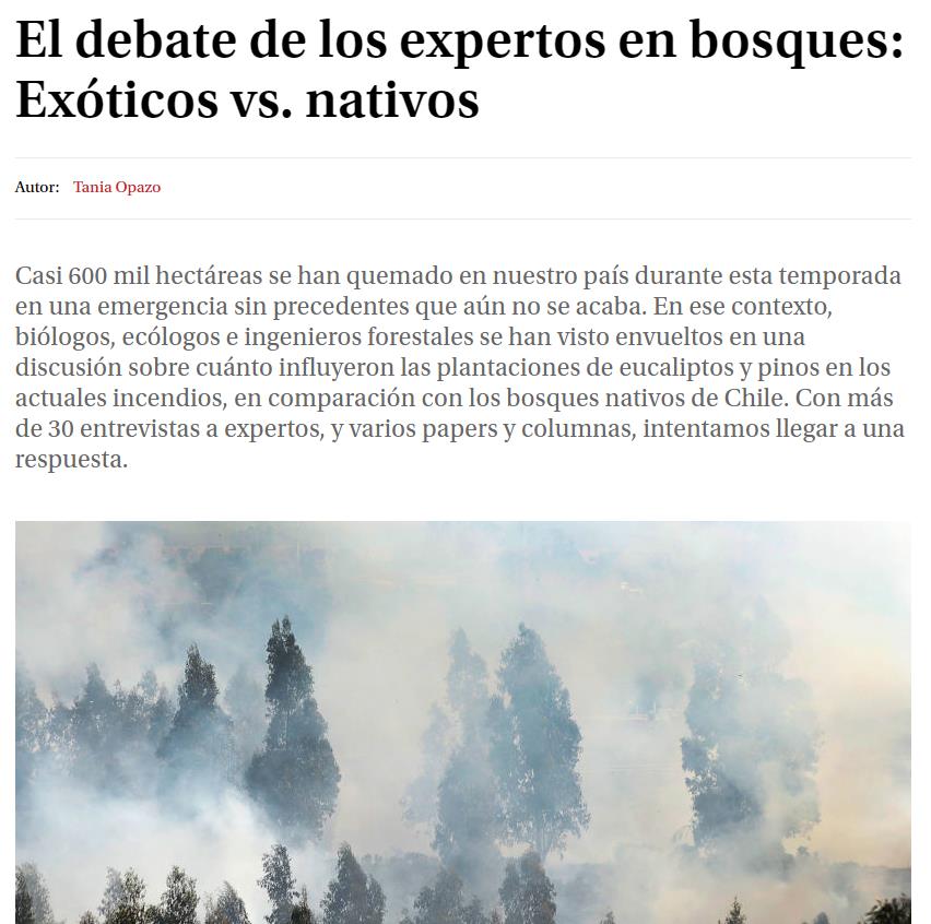 El debate de los expertos en bosques: Exóticos vs. nativos