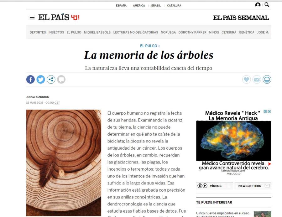 La memoria de los árboles