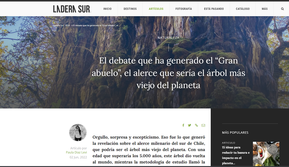 El debate que ha generado el 