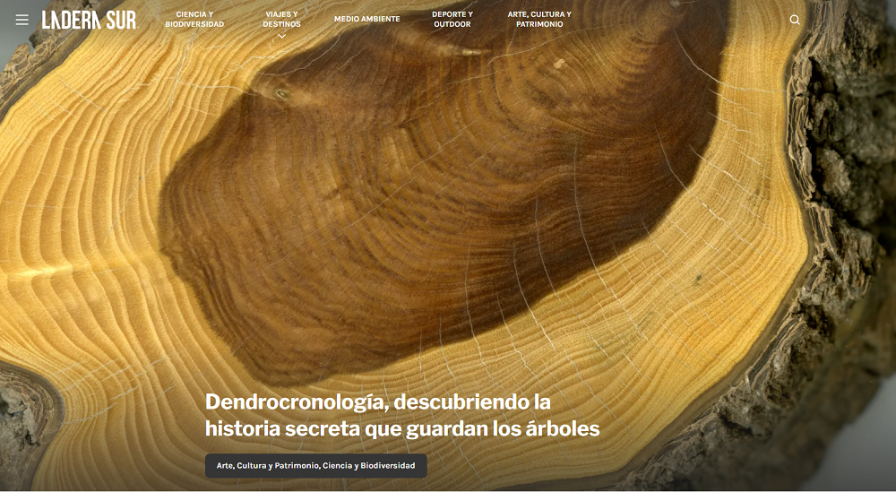 Dendrocronología, descubriendo la historia secreta que guardan los árboles