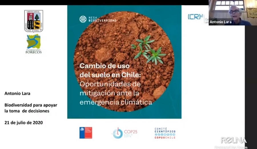 Dr. Antonio Lara: “Los cambios de uso de suelo, destrucción y degradación de bosques nativos y otros ecosistemas provocan pérdida del carbono almacenado”