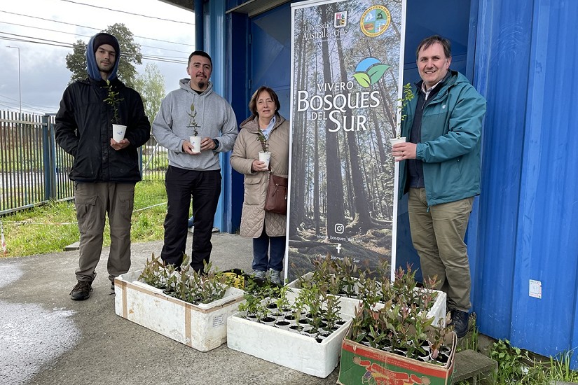 Vivero de la UACh Bosques del Sur dona 200 plantas a establecimientos de Valdivia