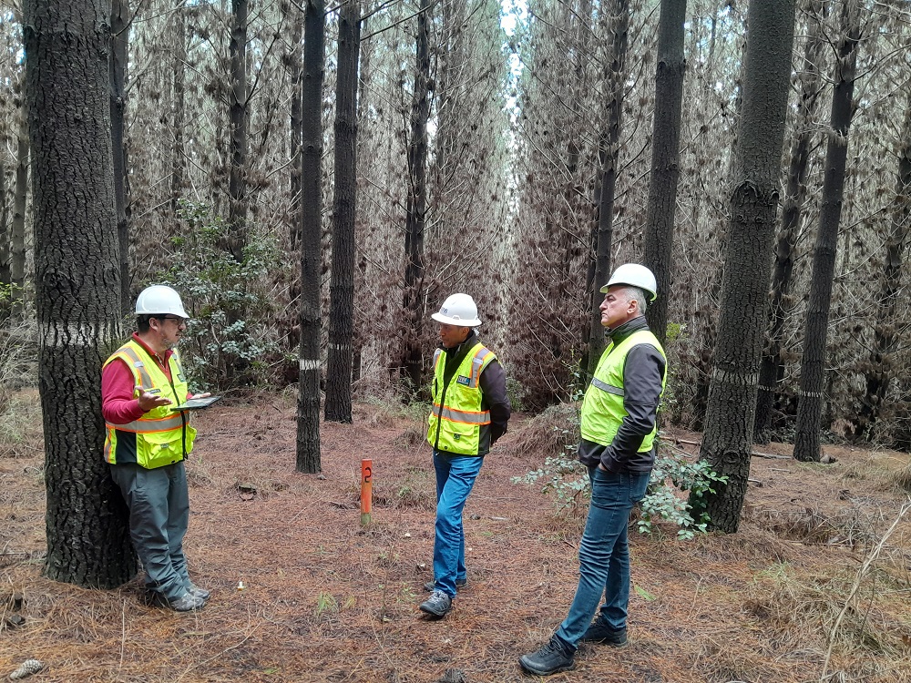 Delegación de Turquía visita Facultad de Ciencias Forestales y Recursos Naturales