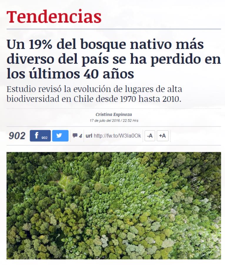 El 19% del bosque nativo más diverso del país se ha perdido en los últimos 40 años