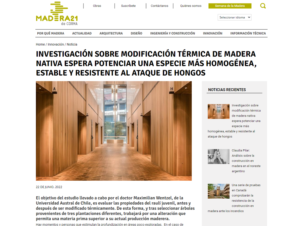 Investigación sobre modificación térmica de madera nativa espera potenciar una especie más homogénea, estable y resistente al ataque de hongos