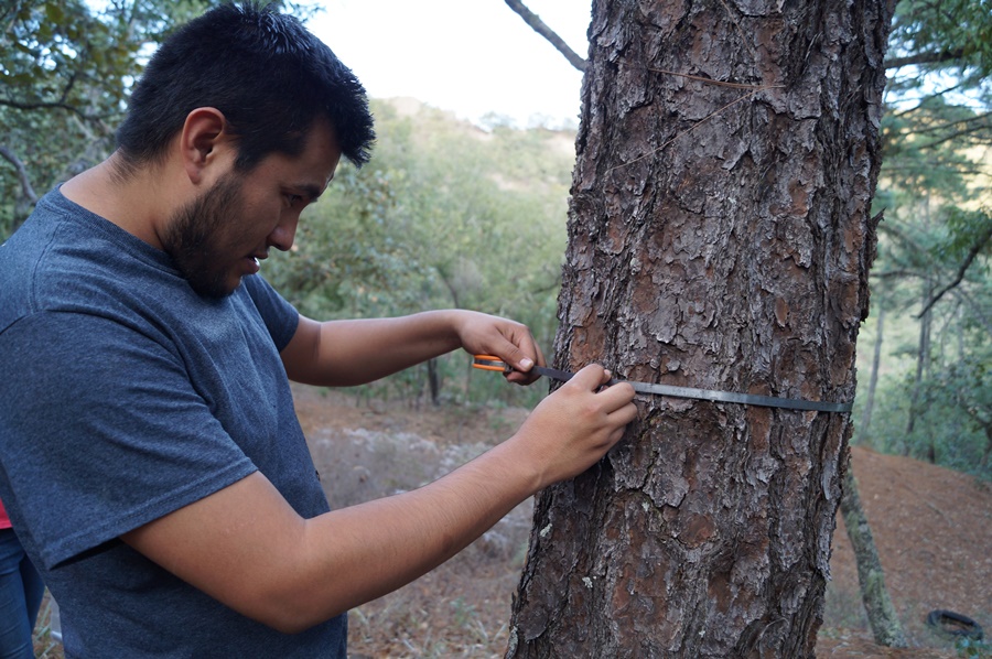 Estudiante de Universidad Autónoma de Nuevo León realiza pasantía en la UACh