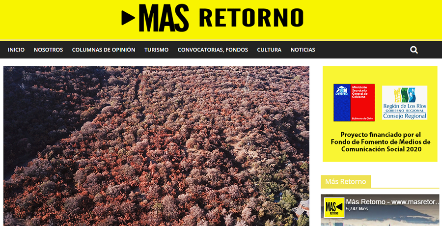 Crítica situación de bosques chilenos motiva a investigadores a solicitar apoyo y participación ciudadana