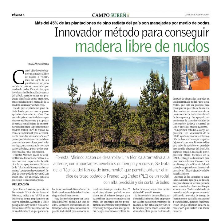 Innovador método para conseguir madera libre de nudos