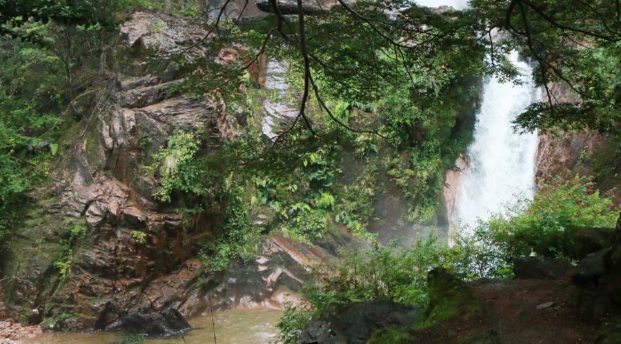 Chile presenta sus Niveles de Referencia de Emisión Forestales