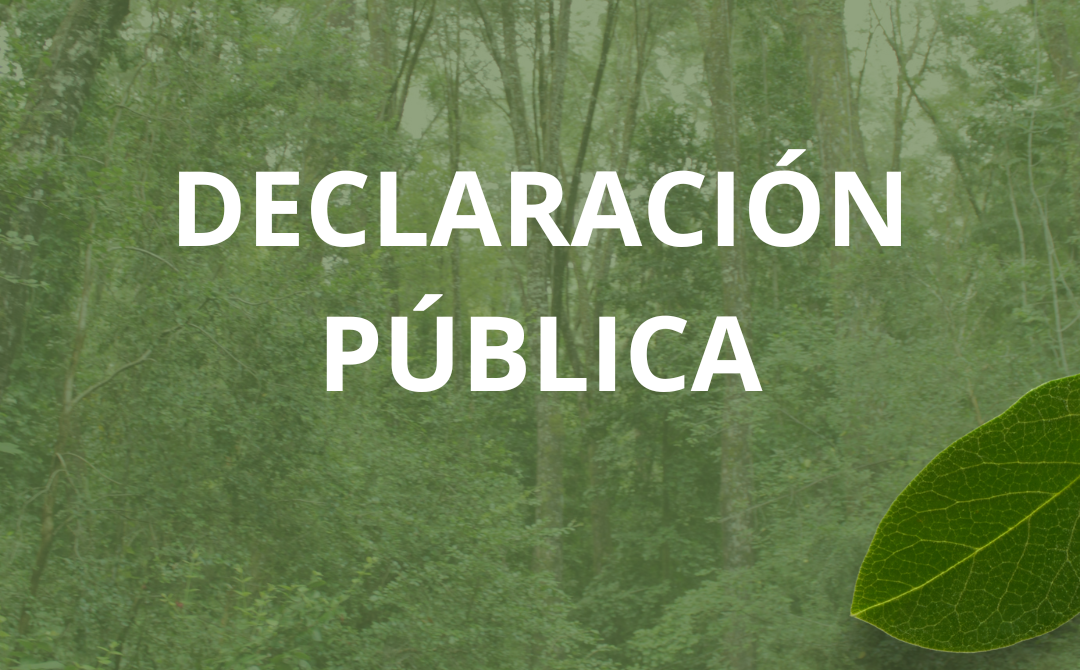 Declaración Pública