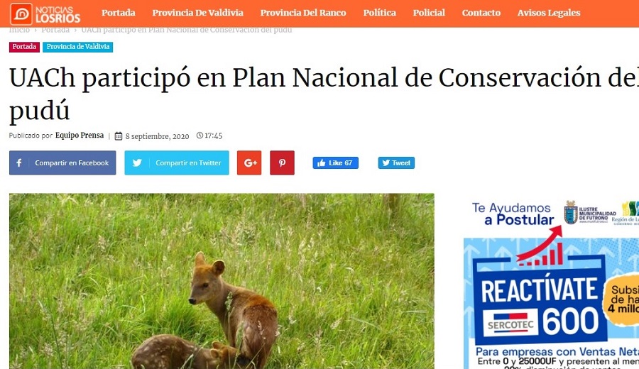 UACh participó en Plan Nacional Conservación del pudú