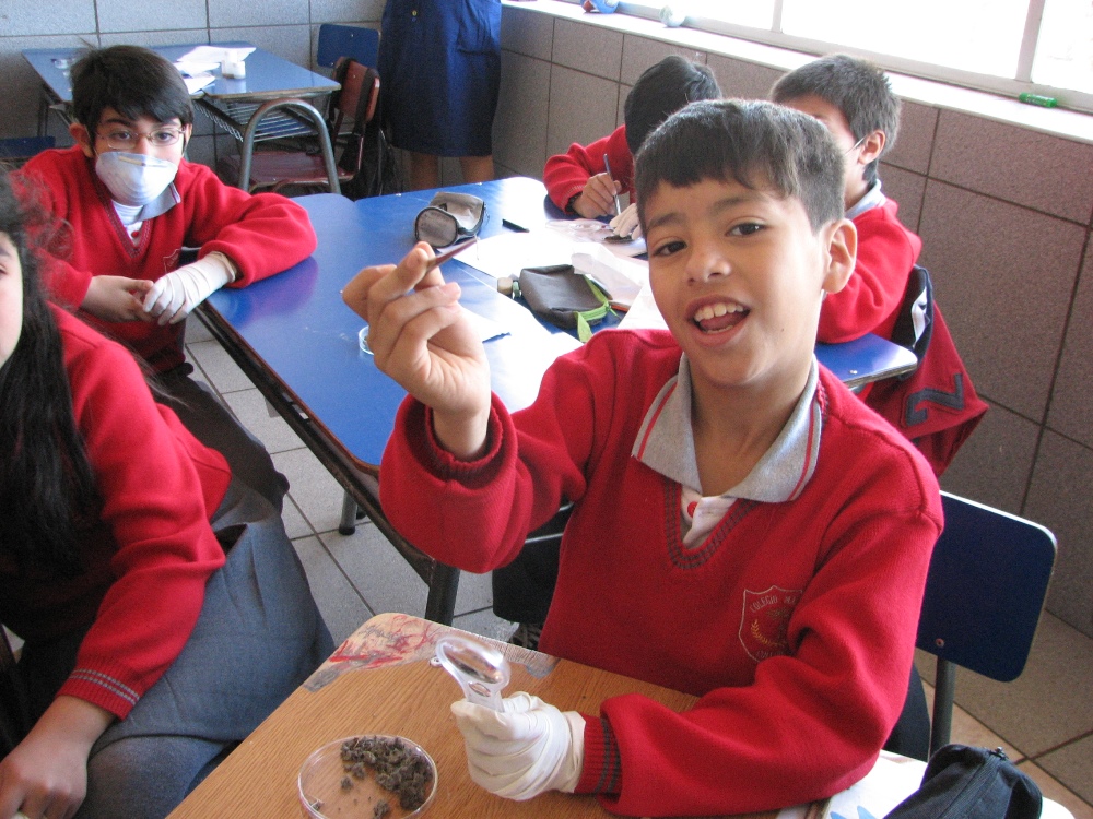 Niños del Colegio Lidia González Barriga descubren el rol de los insectos  en los ecosistemas
