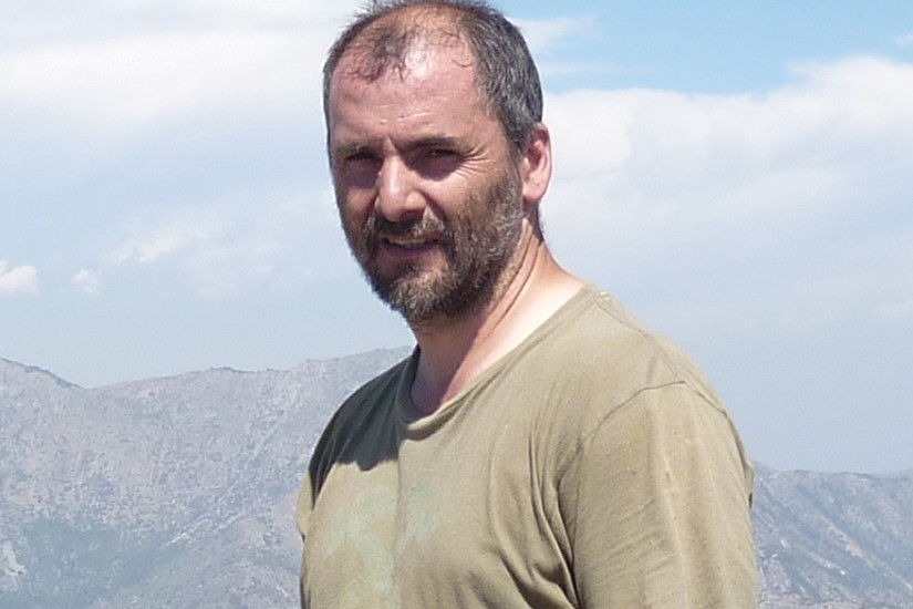 Columna: Ley de cambio climático y monocultivos forestales