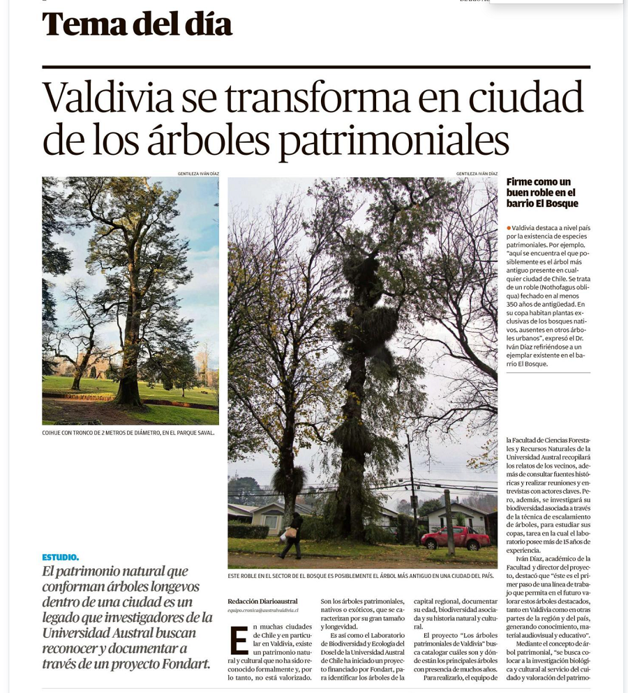 Valdivia se transforma en ciudad de árboles patrimoniales