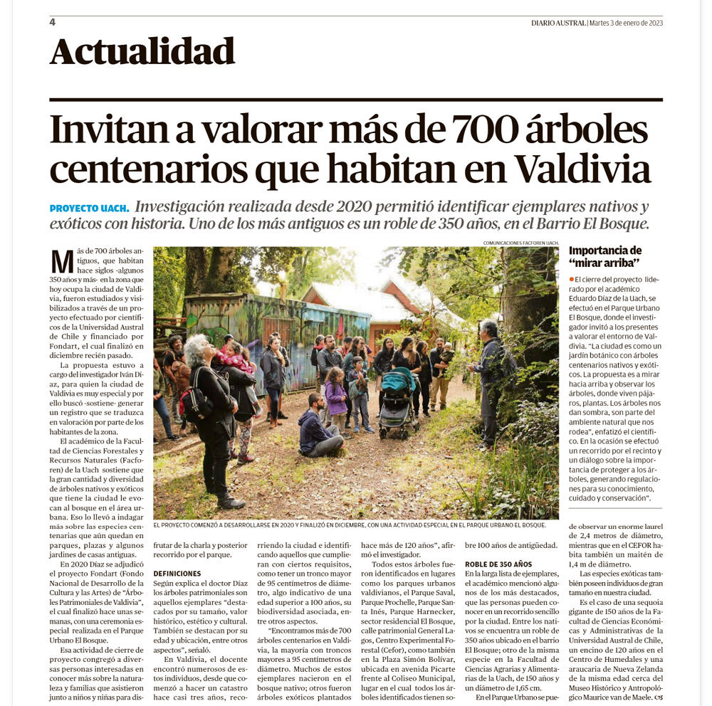 Invitan a valorar más de 700 árboles centenarios que habitan en Valdivia