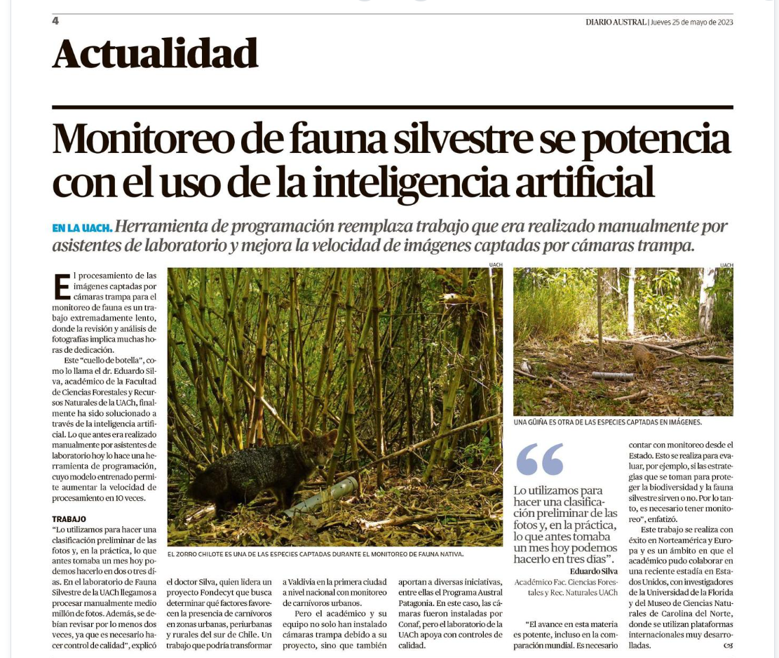 Monitoreo de fauna silvestre se potencia con el uso de inteligencia artificial