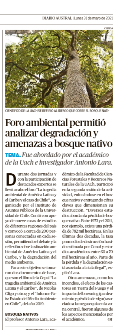 Foro ambiental permitió analizar degradación y amenazas a bosque nativo