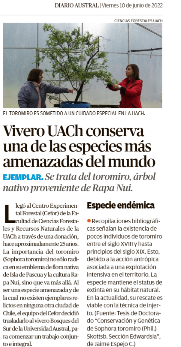 Vivero UACh conserva una de las especies más amenazadas del mundo