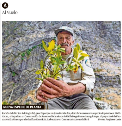 Nueva especie de planta