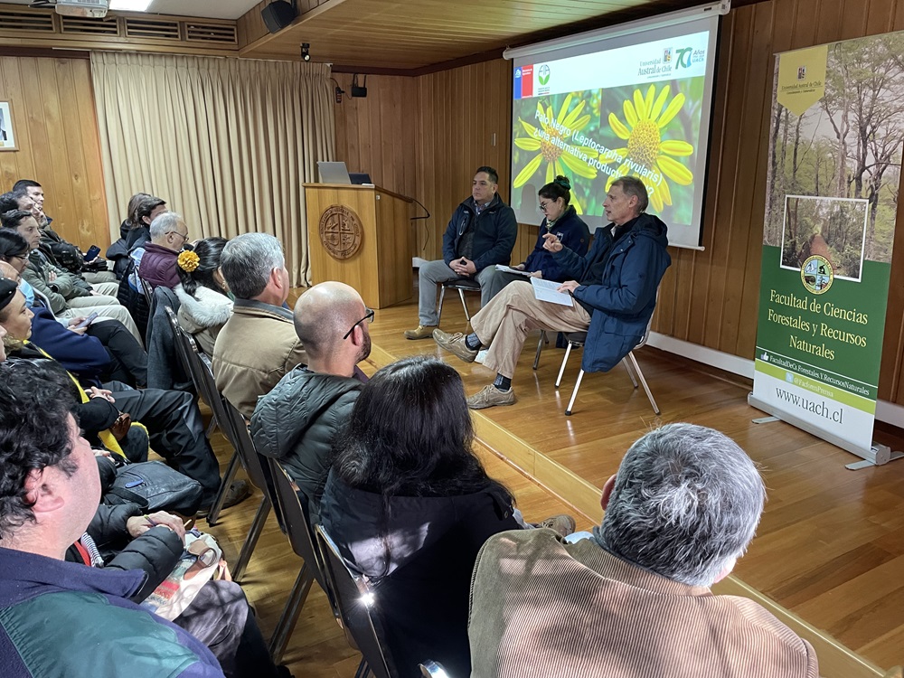 Destacan a especie con propiedades medicinales como una alternativa para cultivo agroforestal