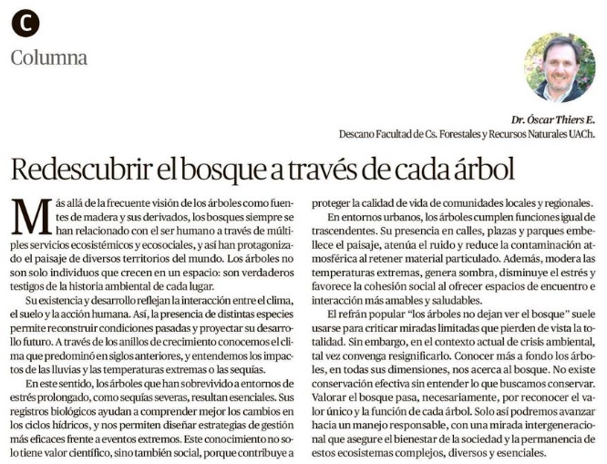 Redescubir el bosque a través de cada árbol