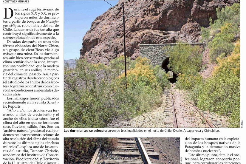 Antiguos durmientes de tren revelan cómo era el clima del pasado en el sur de Chile