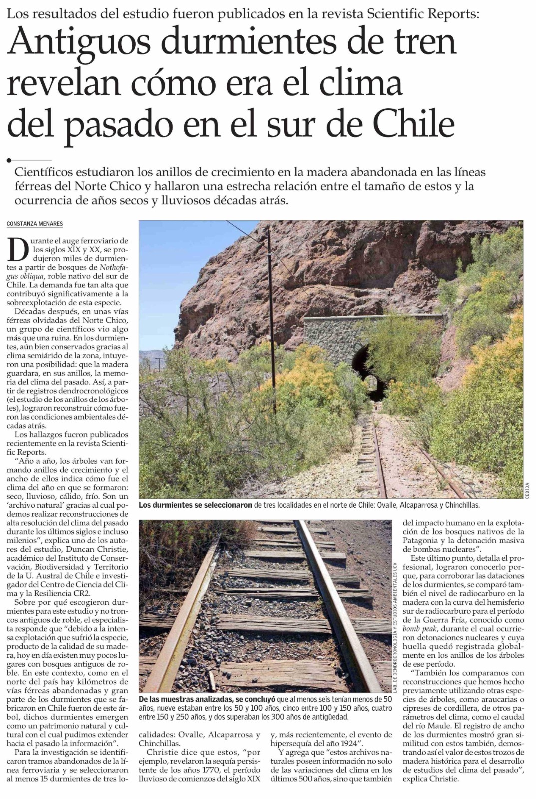 Antiguos durmientes de tren revelan cómo era el clima del pasado en el sur de Chile