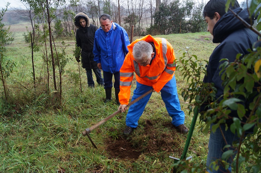 Invitan a Primera Plantación Participativa en Humedal Angachilla