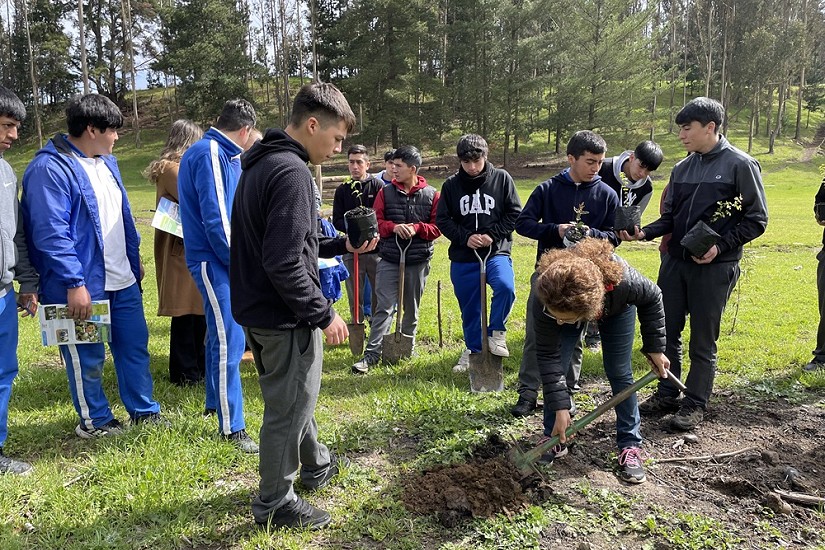 Liceo Bicentenario Los Sauces plantó árboles nativos