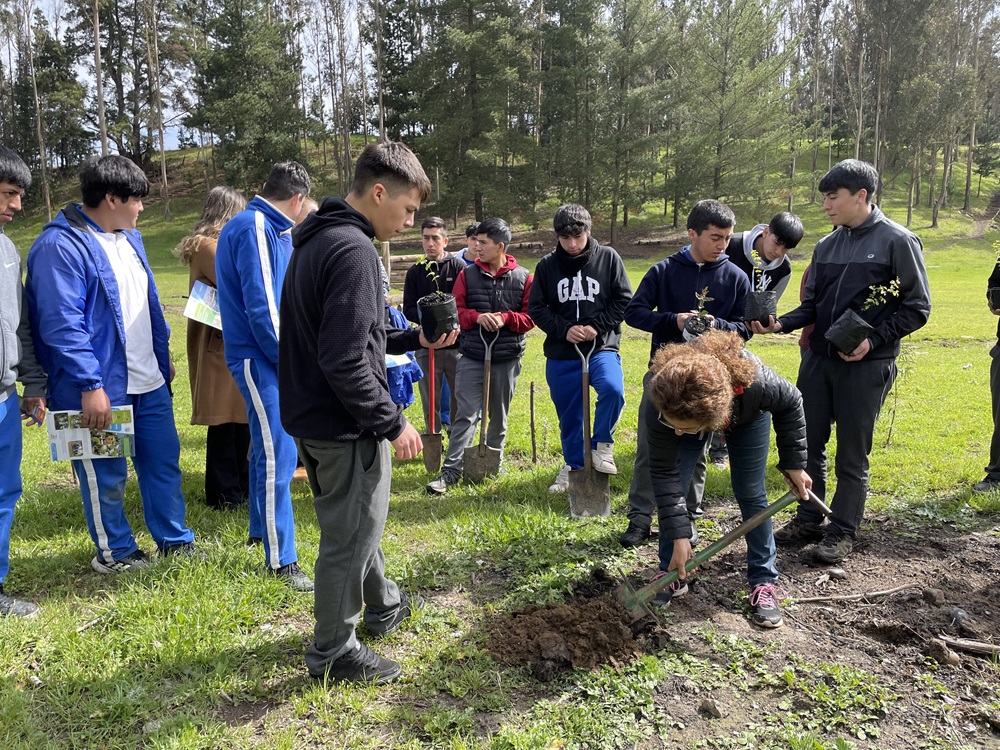 Liceo Bicentenario Los Sauces plantó árboles nativos