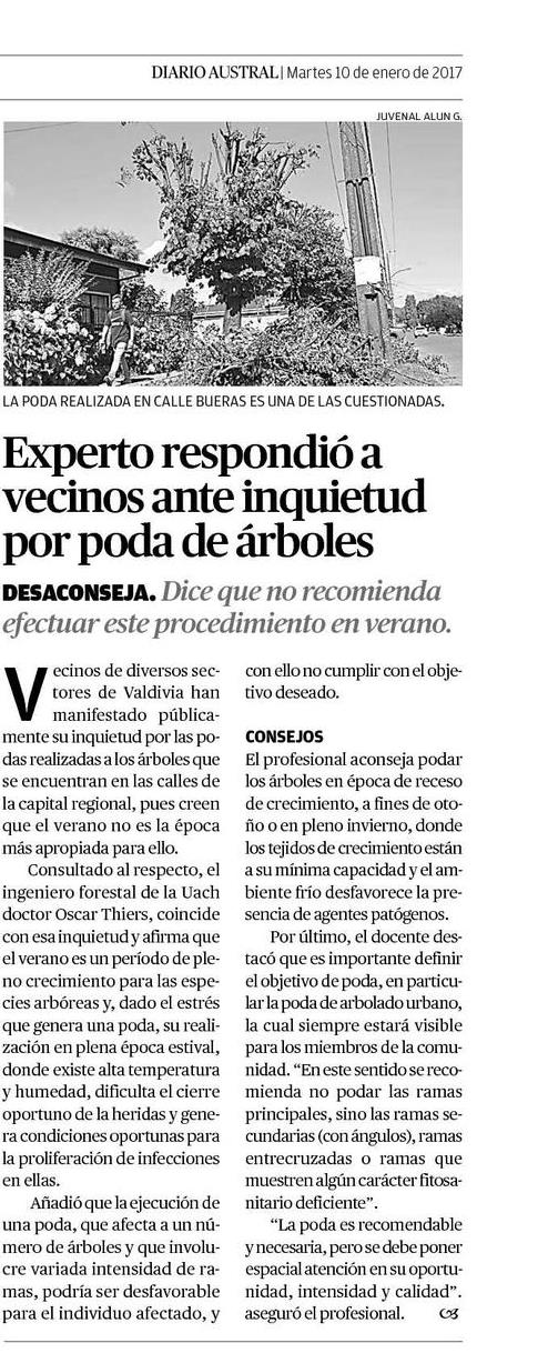Experto respondió a vecinos ante inquietud por poda de árboles