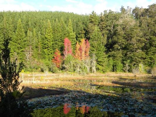 Invitan a charla  “El paisaje y la transformación de la naturaleza”