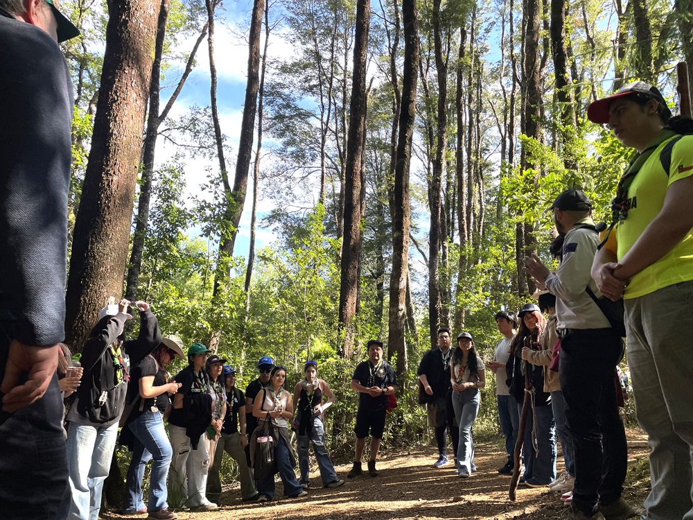 Grupo de jóvenes scout participó de actividad en el bosque en la UACh