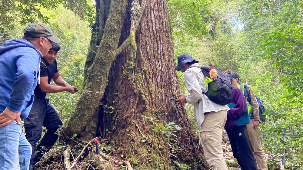 Práctica integrada: aprendizajes y lecciones en el bosque