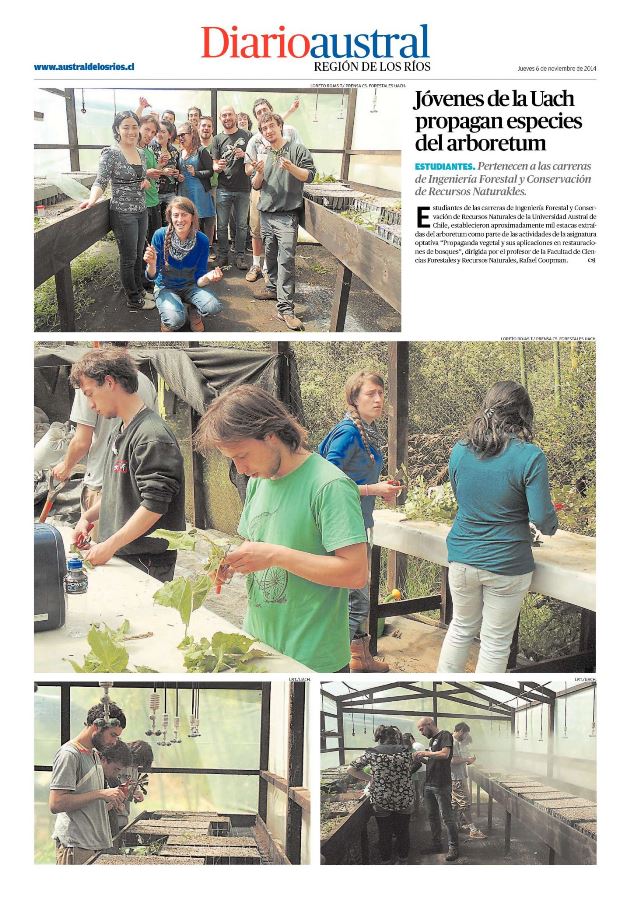 Jóvenes de la UACh propagan especies del Arboretum
