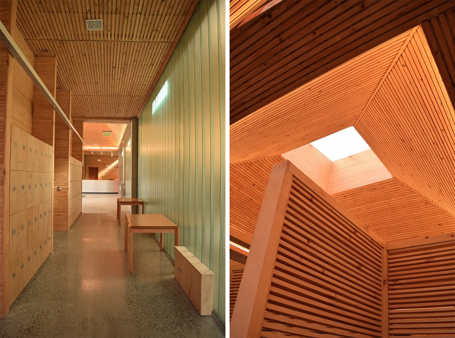La importancia de la madera en edificio ícono de Valdivia