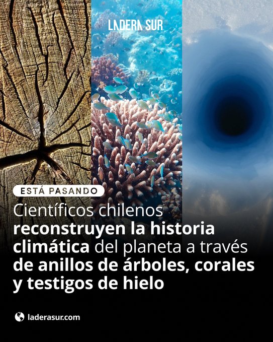 Investigadores reconstruyen la historia climática del planeta a través de anillos de árboles, corales y testigos de hielo