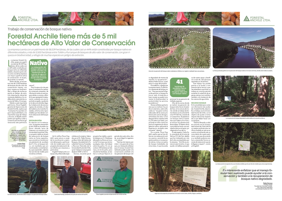 Forestal Anchile cuenta con más de 5 mil hectáreas de Alto Valor de Conservación