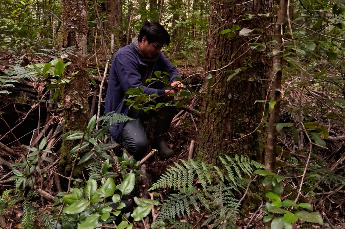Ingeniero Forestal se gradúa del Magíster en Ciencias mención Bosques y Medio Ambiente