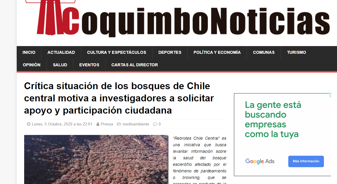 Crítica situación de bosques de Chile central motiva a investigadores a solicitar apoyo y participación ciudadana