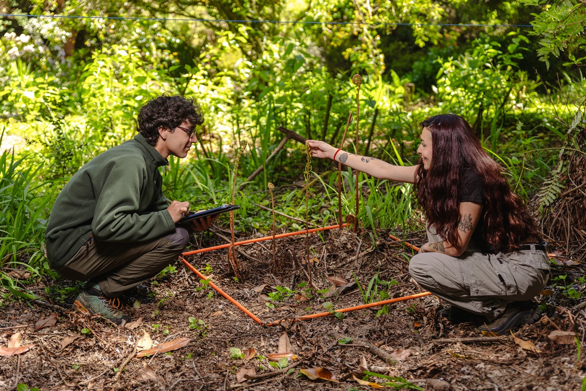 Ingeniería en Conservación de Recursos Naturales-Ingeniería Forestal renueva su malla curricular